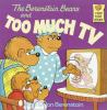 Book cover for "The Berenstain Bears and too much TV".