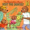 Book cover for "The Berenstain Bears visit the dentist".